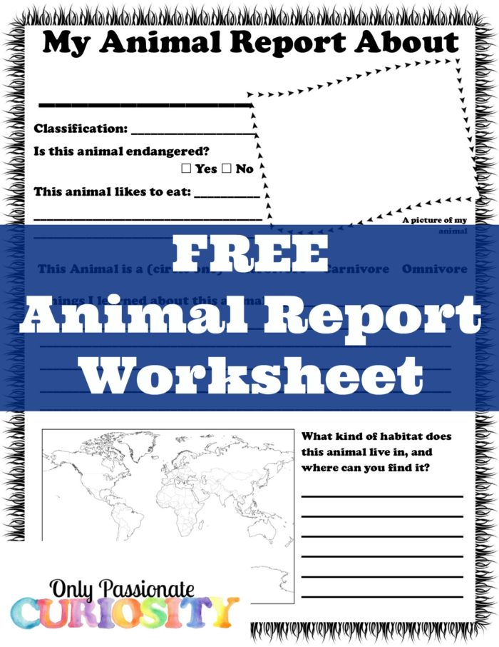 Animal Report Worksheet Only Passionate Curiosity