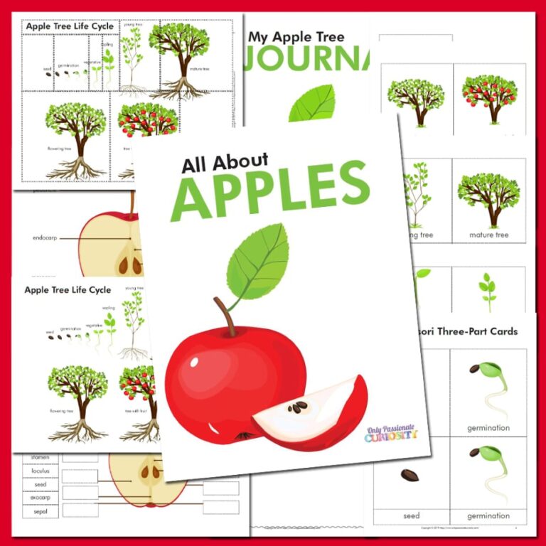All About Apples-Unit Study