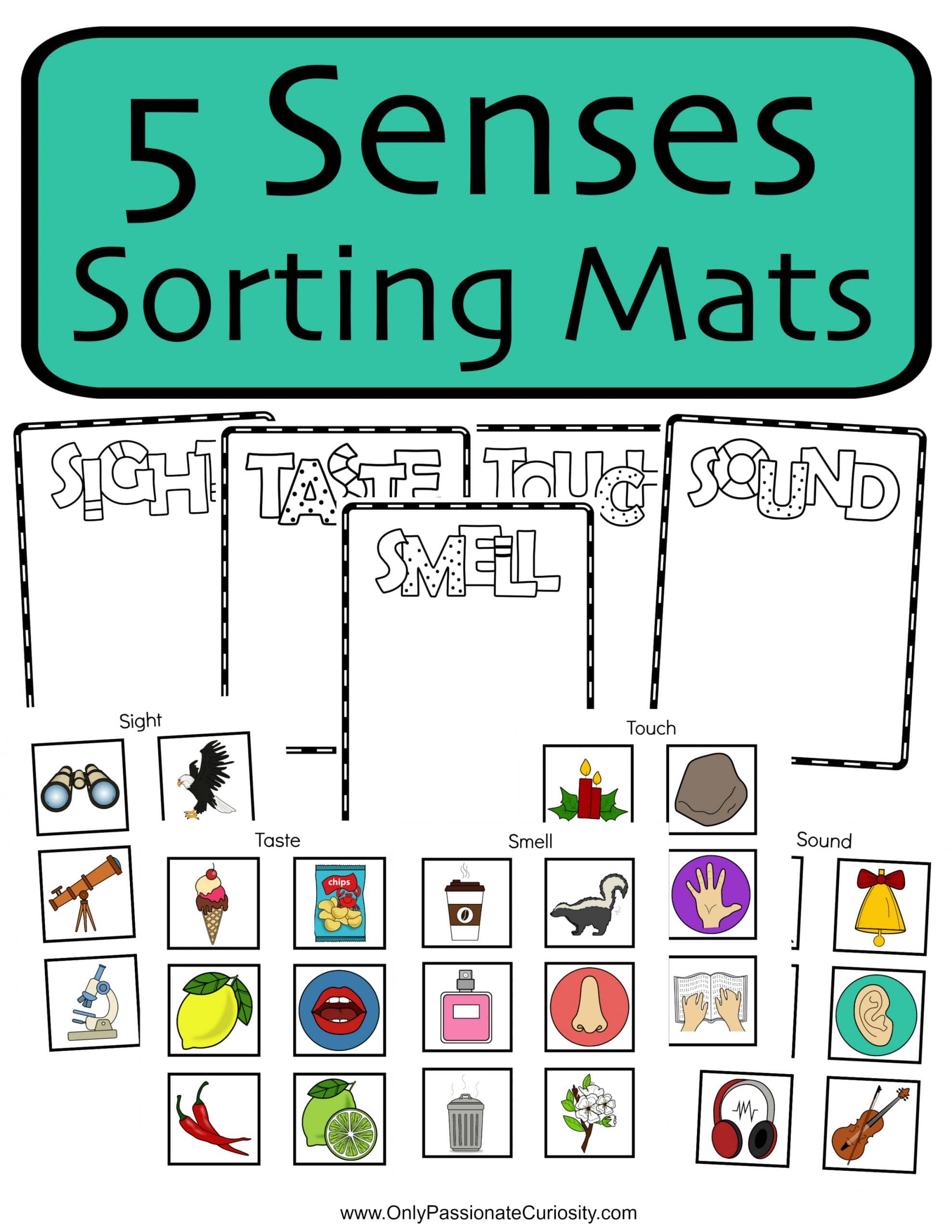 kindergarten-math-worksheets-sorting-and-data-worksheets-sort-by