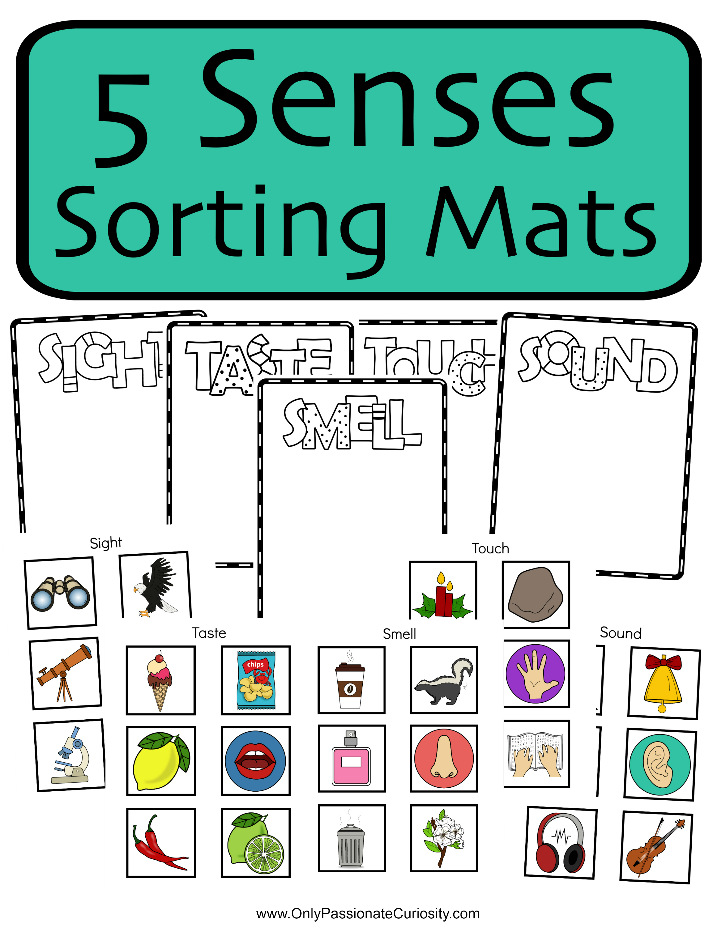 sorting mats worksheets the 5 senses only passionate