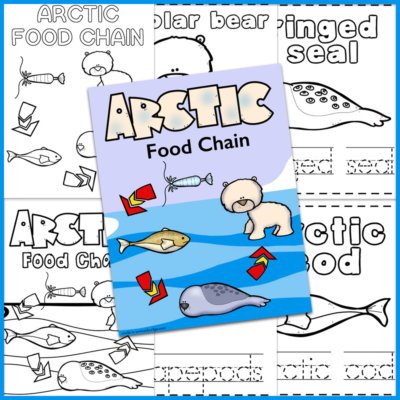 Arctic Food Chain examples and cover page