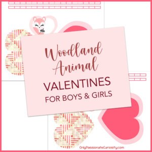Woodland Animal Valentines for Boys