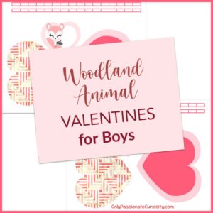 boy version of woodland animals valentines