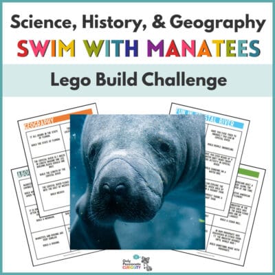 manatee Lego build challenge
