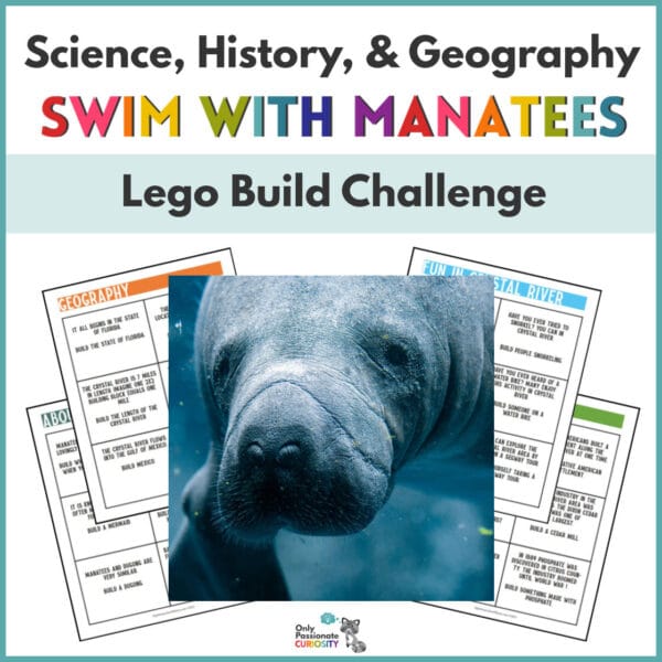manatee Lego build challenge