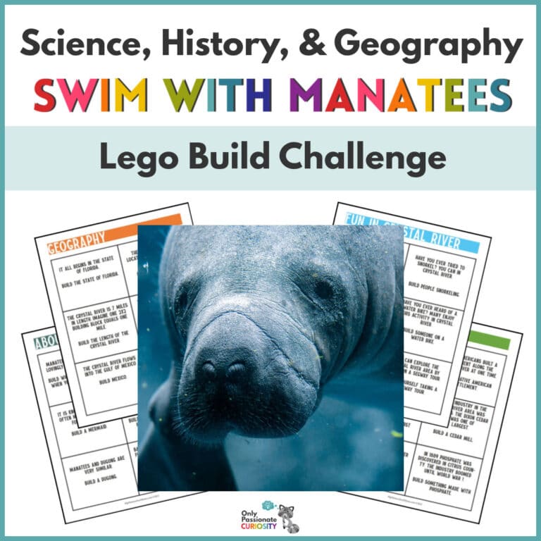 Swim with Manatees Lego Build Challenge