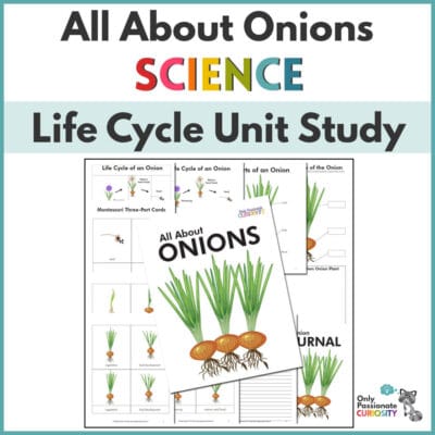 all about onions unit study