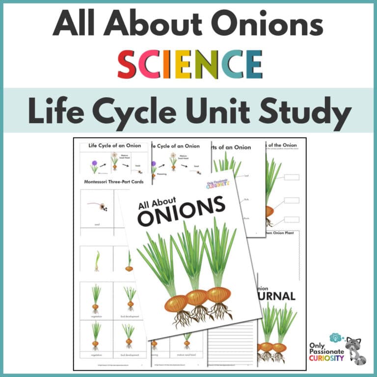 All About Onions Life Cycle Unit Study